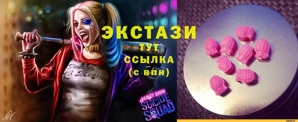гашик Алексеевка