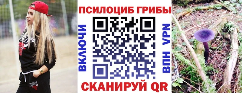 Галлюциногенные грибы Psilocybe купить наркоту Алапаевск